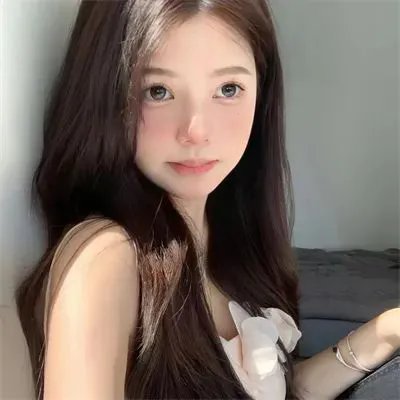 毛茸茸的狗